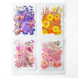 DIY Dried Flower Resin Fillings Real Flower for Home Decoration Nail Art