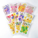 DIY Dried Flower Resin Fillings Real Flower for Home Decoration Nail Art