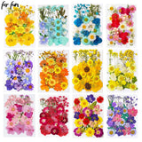 DIY Dried Flower Resin Fillings Real Flower for Home Decoration Nail Art