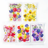DIY Dried Flower Resin Fillings Real Flower for Home Decoration Nail Art