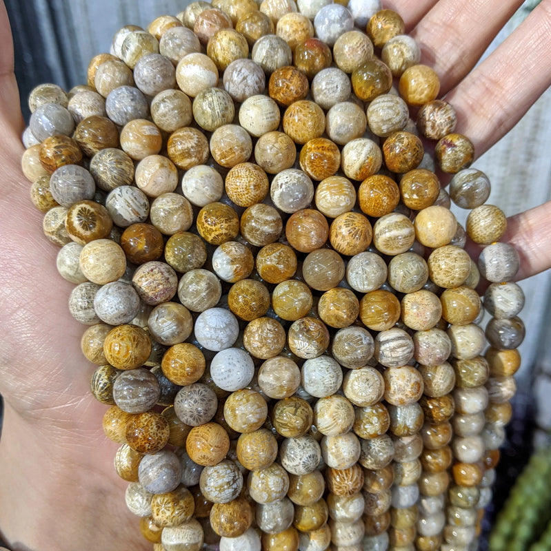 Fossilized Coral Jaspers Natural Stone Beads Loose Round Strand