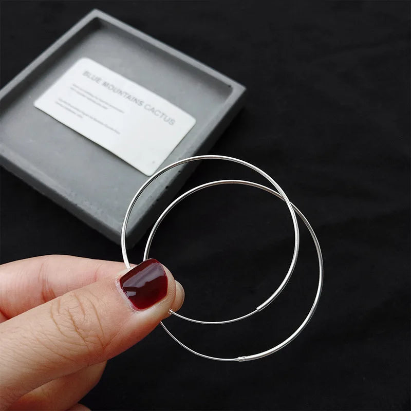 Foxanry Prevent Allergy Silver Hoop Earrings for Women
