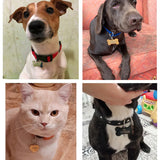 Engraving Personalized Pet ID Tag Stainless Steel Necklace Pendant