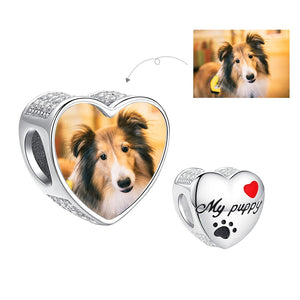 925 Sterling Silver Cat Dog Animal Footprint Beads Charms for Bracelets