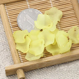 200 pcs 3D Petal Acrylic Crafts, DIY Flowers/Jewelry Supplies