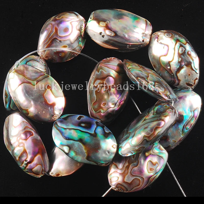 Natural Abalone Shell Oval Egg Loose Beads FG6510