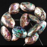 Natural Abalone Shell Oval Egg Loose Beads FG6510