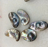 Unique 25*35mm Shell Shape Pendant Necklace