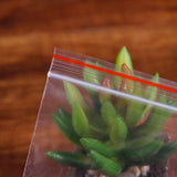 500pcs 4cm*6cm Clear Resealable Plastic Bags