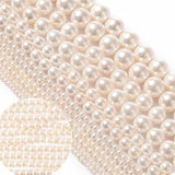 Mother of Pearl Shells 2-10mm Beads DIY Jewelry Making