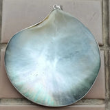 Mother of Pearl Shell Oval Pendant Bead D1014