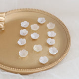 DIY Fresh Flower Jewelry Kit, Resin Shell Necklace Material