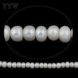 Freshwater Pearl 12-13mm Beads Button Natural 2.5mm Hole DIY Jewelry Making