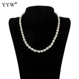 Freshwater Pearl Brass Necklace With Brass Rice Natural For Woman