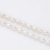 Freshwater Pearl Necklace Women Adjustable Choker Bead Necklace Chain