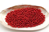 Freshwater Pearl Oyster Shell Natural Sea Shells for Pearl Party Show