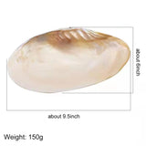 Freshwater Pearl Oyster Shell Natural Sea Shells for Pearl Party Show