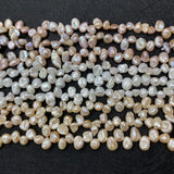 Freshwater Pearl Regenerated Beads DIY Jewelry Making Bracelet Necklace Earrings
