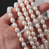 7mm Short Fat Natural Freshwater Pearls DIY Earring Beads