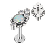 G23 Titanium 5 Colorful CZ Ball Clusters Lip Stud