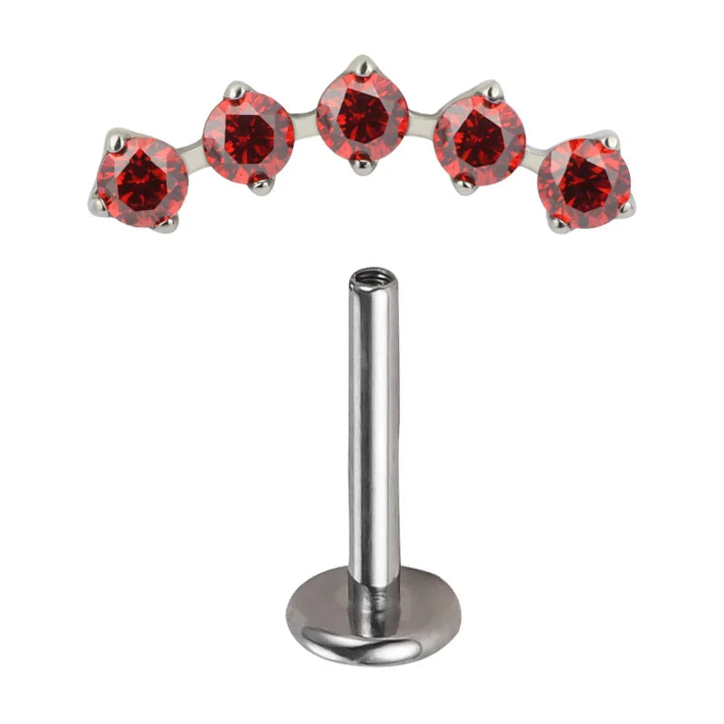 G23 Titanium 5 Prong Zircon Paved Ear Studs