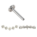 G23 Titanium 5 Prong Zircon Paved Ear Studs