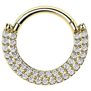 G23 Titanium CZ Zircon Paved Ear Cartilage Earring
