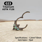 G23 Titanium F316 Nose Piercing Ring Nariz Piercing