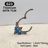 G23 Titanium F316 Nose Piercing Ring Nariz Piercing