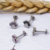 G23 Titanium Opal Lip Studs 16G Cat Scratching Labret