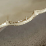 img_786761