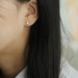 Solid Stud Dainty Bow Dangle Crystal Earrings