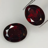 Garnet Oval Cut 10x8mm 2pz