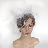 Gauze Veil Feather Hairpin Hair Accessories Fascinators Hat