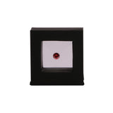 GemTrue Loose Stone Holder Stand Display Box Gemstones Packaging Storage Case