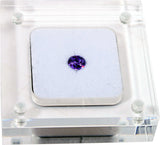 GemTrue Diamond Display Box Jewelry Storage Plastic Box