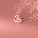 925 Silver Diamond Zircon Ear Stud Earring for Women Party Gift