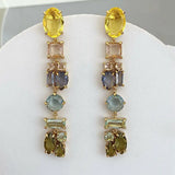 Irregular Translucent Long Earrings
