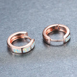 Geometric Opal Earrings Circle Multicolor 925 Silver Hook Women's Jewelry