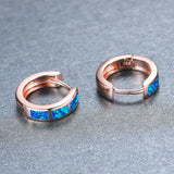 Geometric Opal Earrings Circle Multicolor 925 Silver Hook Women's Jewelry