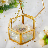 Geometrical Clear Glass Jewelry Box Jewelry Organize Holder