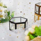 Clear Glass Jewelry Box Organizer Ring Necklace Earrings Storage
