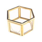 Glass Jewelry Box Holder Tabletop Succulent Plants Container Home Storage