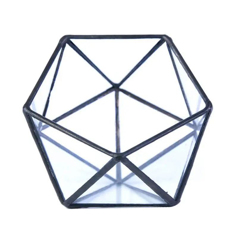 Glass Geometric Terrarium Succulent Plant Box /Gold