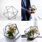 Glass Geometric Terrarium Succulent Plant Box /Gold