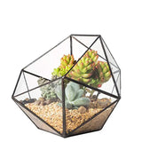 Glass Geometric Terrarium Succulent Plant Box /Gold