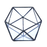 Glass Geometric Terrarium Succulent Plant Box Holder