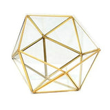 Glass Geometric Terrarium Succulent Plant Box Holder