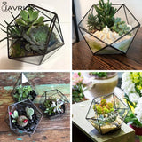 Geometric Glass Terrarium Jewelry Holder & Planter Box