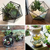 Glass Terrarium Jewelry Holder